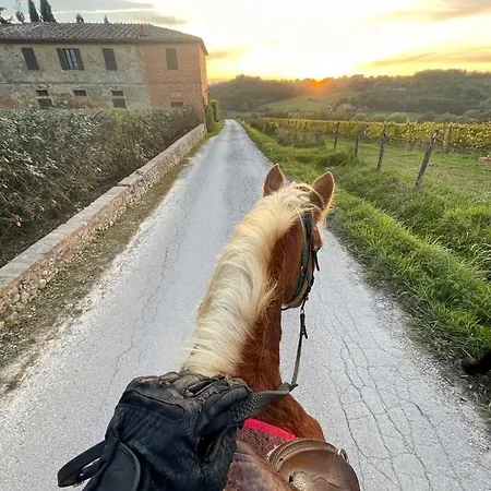La Corte Del Sole סיינה