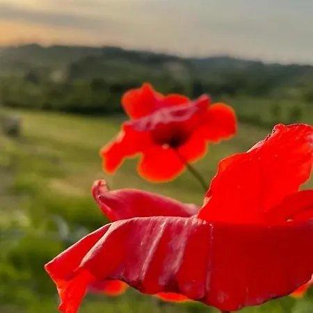 La Corte Del Sole Agroturismo