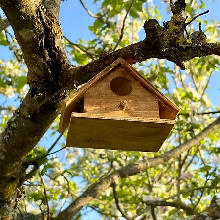 La Corte Del Sole Séjour à la ferme